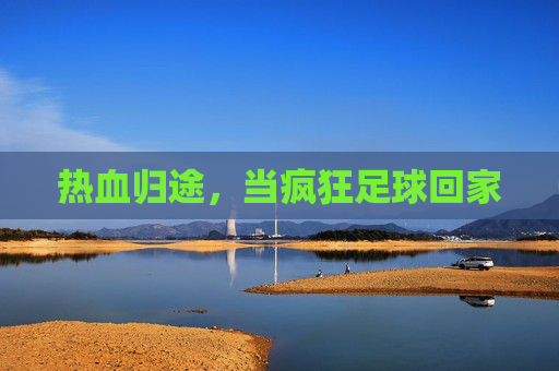 热血归途,当疯狂足球回家