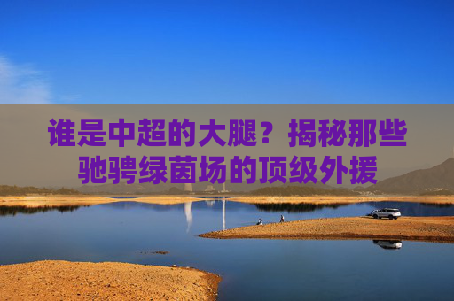 谁是中超的大腿?揭秘那些驰骋绿茵场的顶级外援