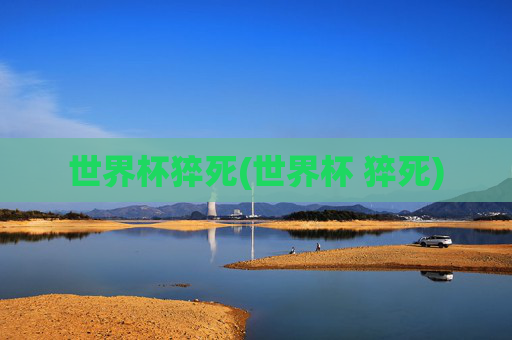 世界杯猝死(世界杯 猝死)