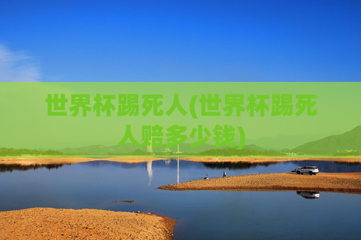 世界杯踢死人(世界杯踢死人赔多少钱)