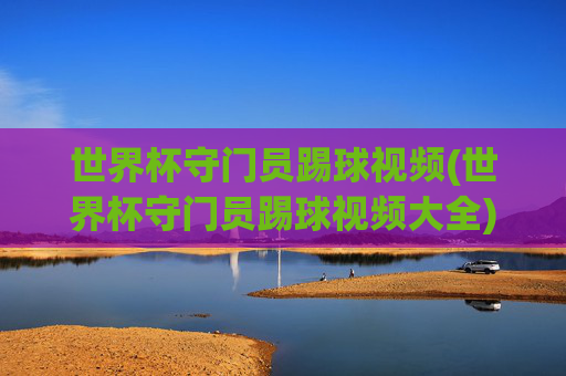 世界杯守门员踢球视频(世界杯守门员踢球视频大全)