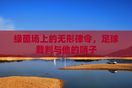 绿茵场上的无形律令,足球裁判与他的哨子