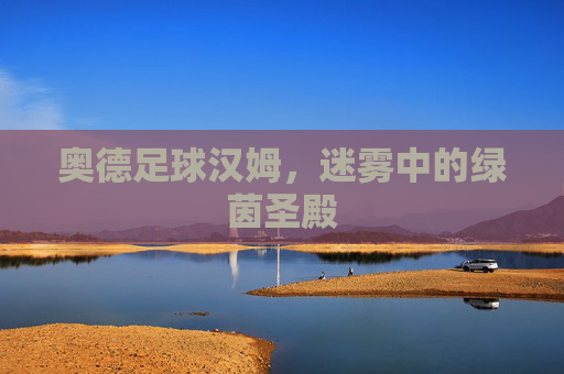 奥德足球汉姆,迷雾中的绿茵圣殿
