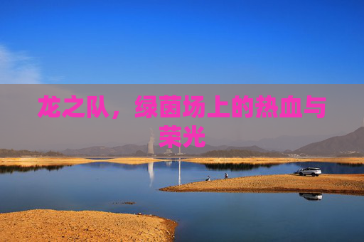 龙之队,绿茵场上的热血与荣光
