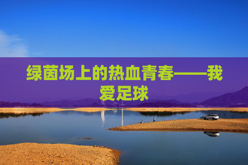 绿茵场上的热血青春——我爱足球