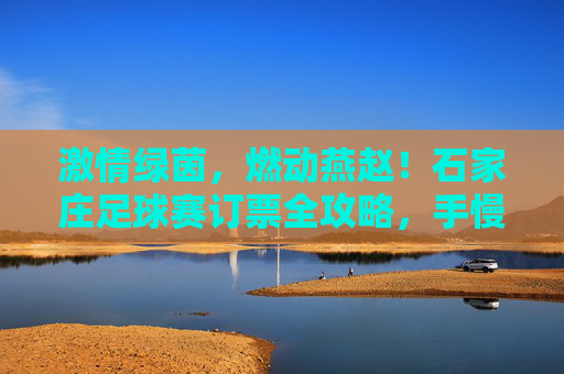 激情绿茵,燃动燕赵!石家庄足球赛订票全攻略,手慢无!