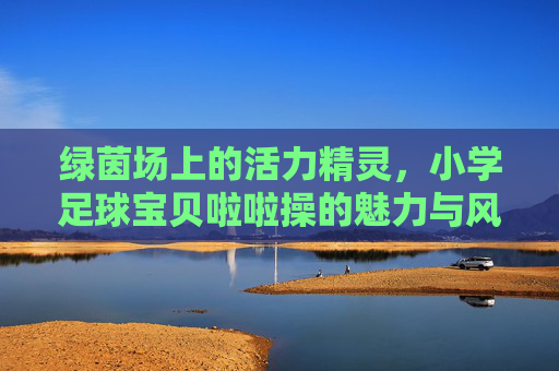 绿茵场上的活力精灵,小学足球宝贝啦啦操的魅力与风采