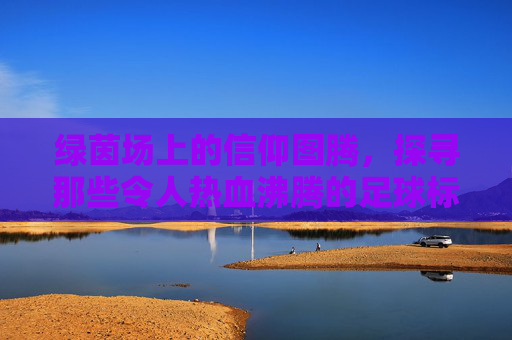绿茵场上的信仰图腾，探寻那些令人热血沸腾的足球标志图