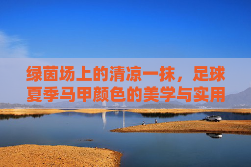 绿茵场上的清凉一抹,足球夏季马甲颜色的美学与实用指南