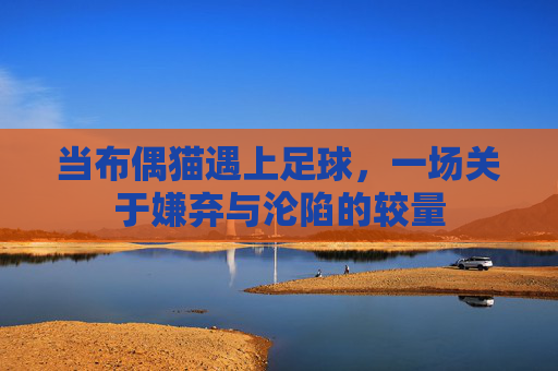 当布偶猫遇上足球,一场关于嫌弃与沦陷的较量