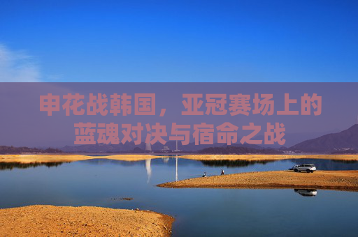 申花战韩国,亚冠赛场上的蓝魂对决与宿命之战