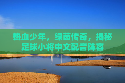 热血少年，绿茵传奇，揭秘足球小将中文配音阵容
