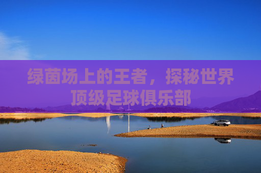 绿茵场上的王者,探秘世界顶级足球俱乐部