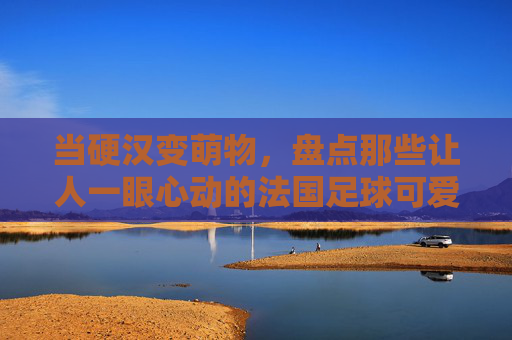 当硬汉变萌物,盘点那些让人一眼心动的法国足球可爱壁纸