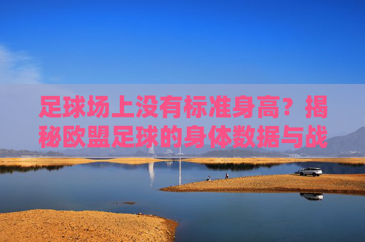 足球场上没有标准身高?揭秘欧盟足球的身体数据与战术逻辑