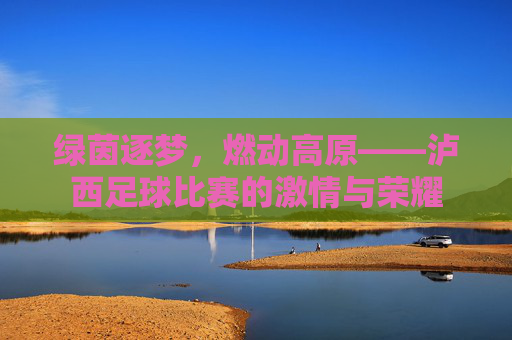 绿茵逐梦,燃动高原——泸西足球比赛的激情与荣耀