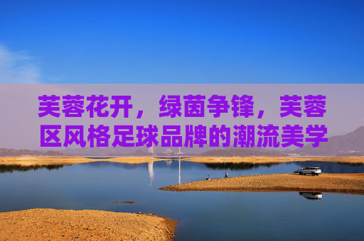 芙蓉花开，绿茵争锋，芙蓉区风格足球品牌的潮流美学与激情图腾