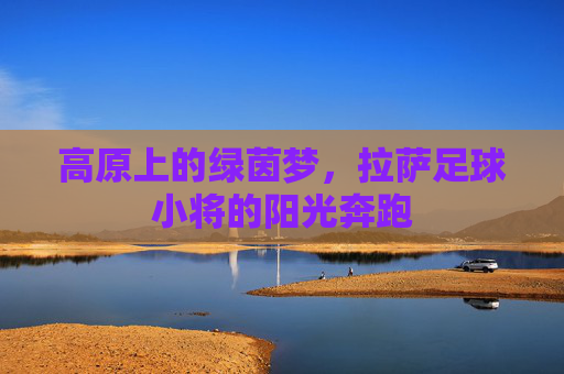 高原上的绿茵梦,拉萨足球小将的阳光奔跑