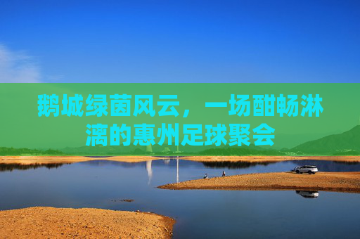 鹅城绿茵风云，一场酣畅淋漓的惠州足球聚会