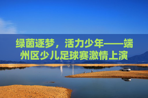 绿茵逐梦，活力少年——端州区少儿足球赛激情上演