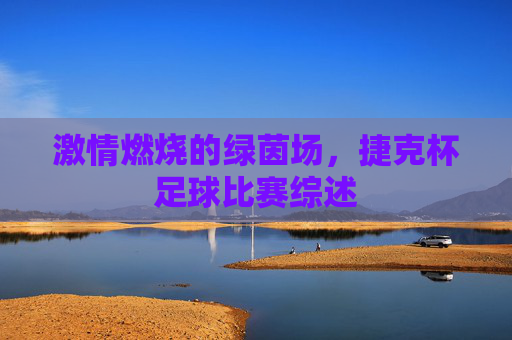 激情燃烧的绿茵场，捷克杯足球比赛综述