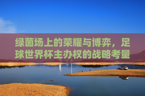 绿茵场上的荣耀与博弈,足球世界杯主办权的战略考量