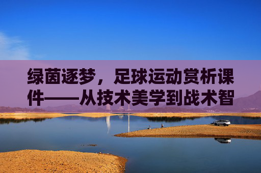 绿茵逐梦,足球运动赏析课件——从技术美学到战术智慧