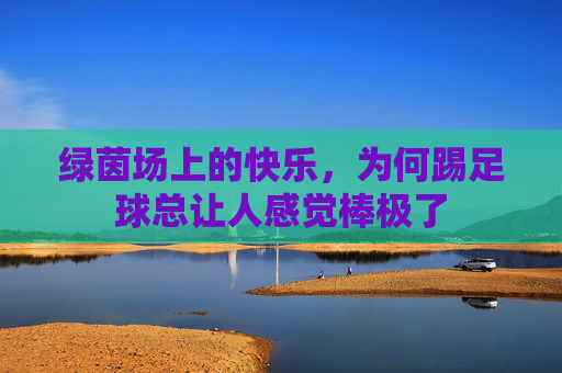 绿茵场上的快乐，为何踢足球总让人感觉棒极了