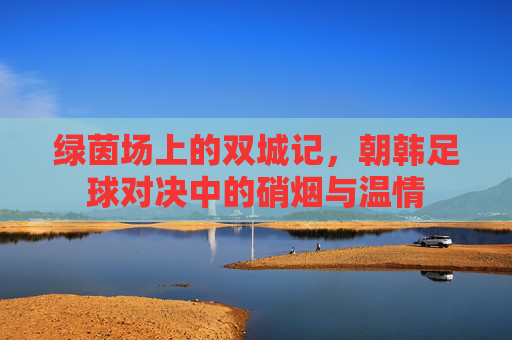 绿茵场上的双城记,朝韩足球对决中的硝烟与温情