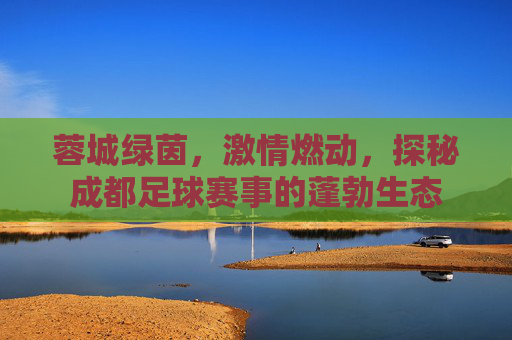 蓉城绿茵,激情燃动,探秘成都足球赛事的蓬勃生态