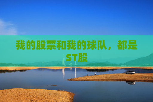 我的股票和我的球队,都是ST股