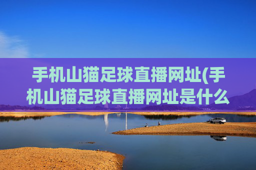 手机山猫足球直播网址(手机山猫足球直播网址是什么)