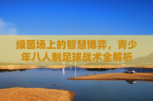 绿茵场上的智慧博弈,青少年八人制足球战术全解析