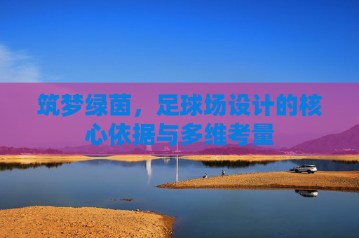 筑梦绿茵，足球场设计的核心依据与多维考量