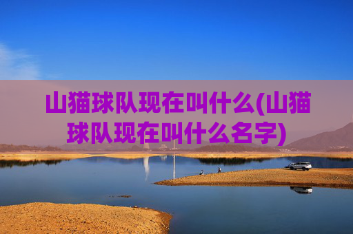 山猫球队现在叫什么(山猫球队现在叫什么名字)