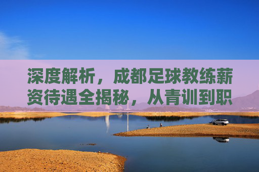 深度解析,成都足球教练薪资待遇全揭秘,从青训到职业队的收入真相