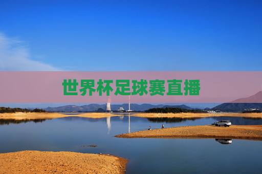 世界杯足球赛直播