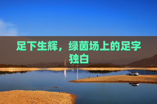 足下生辉,绿茵场上的足字独白
