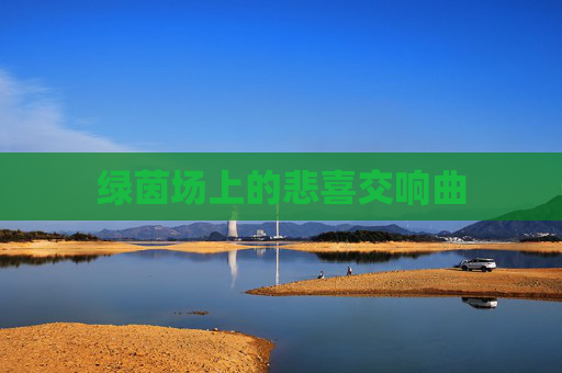 绿茵场上的悲喜交响曲
