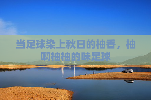 当足球染上秋日的柚香,柚啊柚柚的味足球