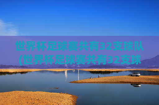 世界杯足球赛共有32支球队(世界杯足球赛共有32支球队对吗)