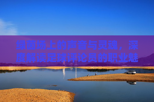 绿茵场上的声音与灵魂,深度解读足球评论员的职业魅力