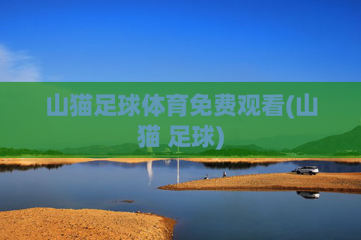 山猫足球体育免费观看(山猫 足球)