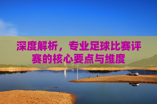 深度解析,专业足球比赛评赛的核心要点与维度