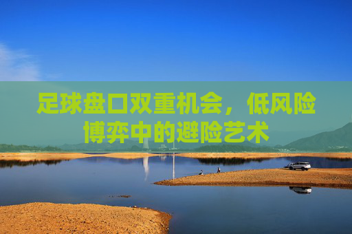 足球盘口双重机会,低风险博弈中的避险艺术