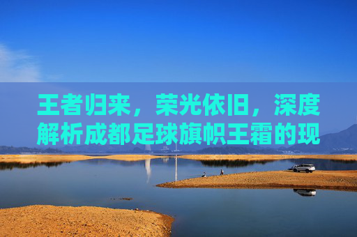 王者归来,荣光依旧,深度解析成都足球旗帜王霜的现状与未来