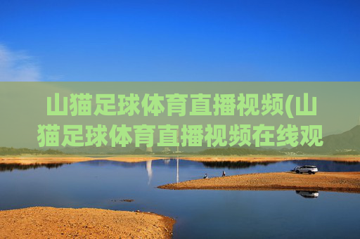 山猫足球体育直播视频(山猫足球体育直播视频在线观看)