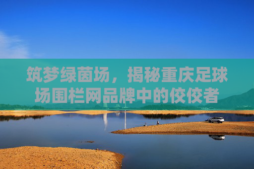 筑梦绿茵场,揭秘重庆足球场围栏网品牌中的佼佼者