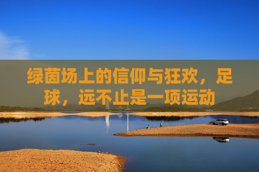 绿茵场上的信仰与狂欢,足球,远不止是一项运动