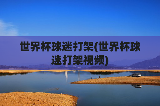 世界杯球迷打架(世界杯球迷打架视频)